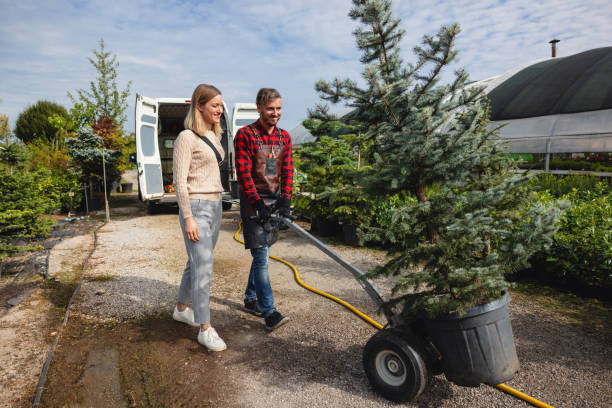 Best Commercial Tree Services  in Weston Lakes, TX